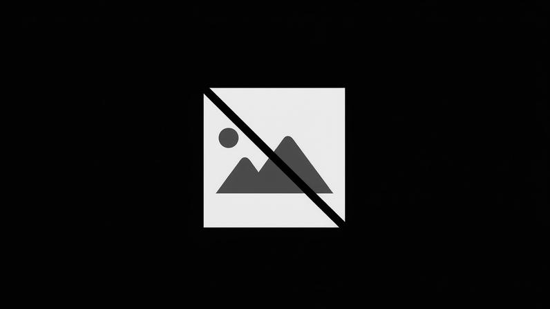 Jogadores da AF de Viseu e da AF de Castelo Branco convocados para a Seleção Nacional Sub-15 de Futsal