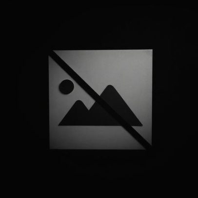 Vila Pouca de Aguiar regista queda de ninhos de vespa asiática