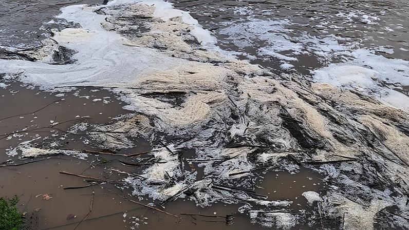 Homem desaparecido em Moimenta da Beira