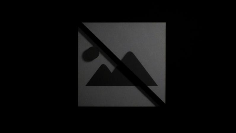 África vai vacinar 20 milhões de bovinos contra a febre aftosa em 10 anos