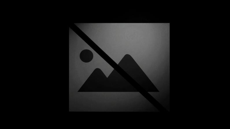 Bastonária dos Psicólogos diz que combate ao vício do jogo exige monitorização