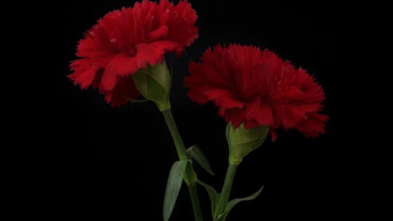 Três C, depois dos três D de Abril