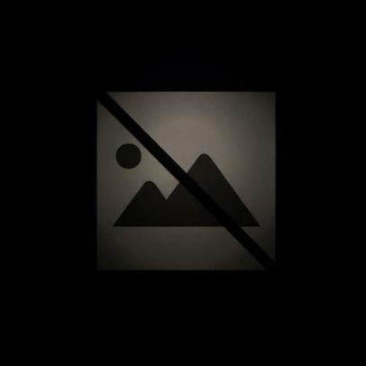 Assembleia Municipal de Lisboa aprova orçamento de 1.345 milhões de euros