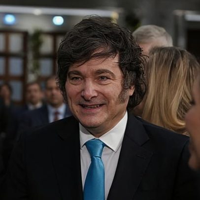 Serviços Veterinários de Paços de Ferreira registam mais de 250 adoções em 2025