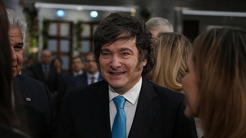 Serviços Veterinários de Paços de Ferreira registaram mais de 250 adoções em 2025