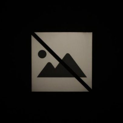 Seguro vence em Pinhal Novo e Gouveia e Melo surpreende nas urnas