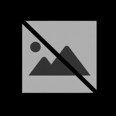 PAN apoia António José Seguro na segunda volta