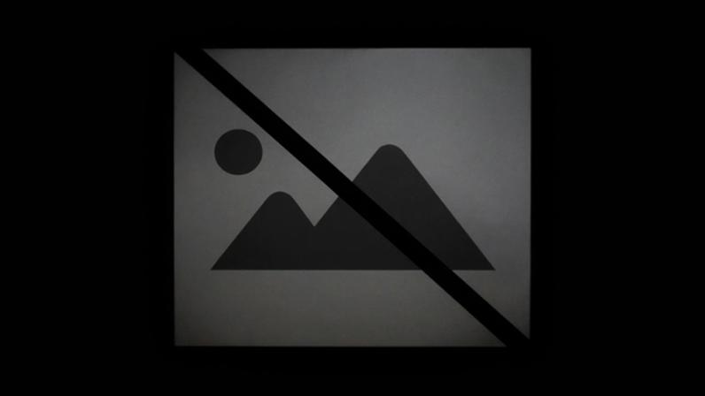 Sertã: Barraquinhas de Madeira do Mercado Municipal em Hasta Pública até 5 de fevereiro