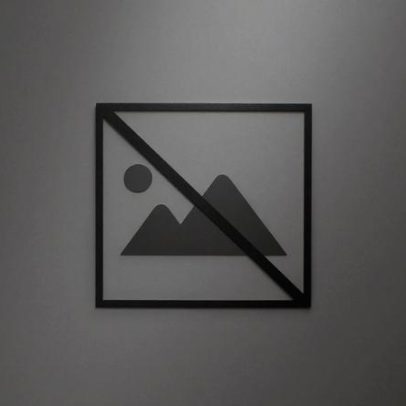 Direção do LIVRE propõe apoio a António José Seguro na segunda volta