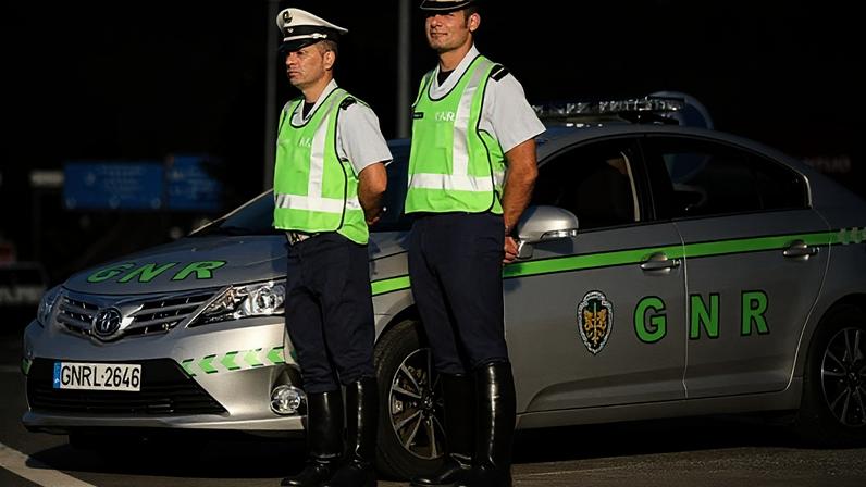 CROAEF no Fundão apela à adopção urgente de 10 cachorros