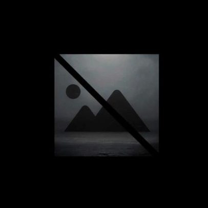 Arganil esteriliza 314 animais de companhia em 2025