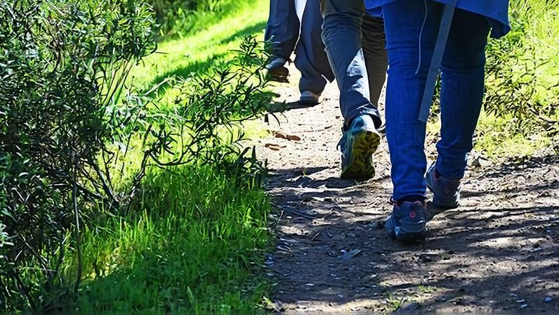 Marvão celebra os 800 anos do primeiro Foral da Vila