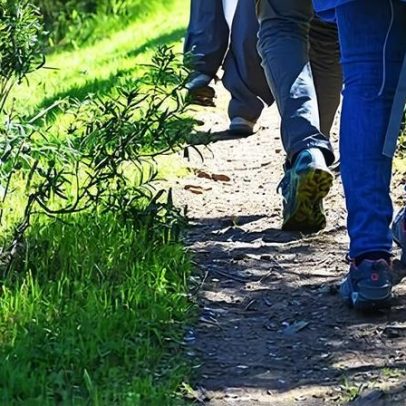 Caminhada solidária reúne caminhantes em Santiago do Cacém
