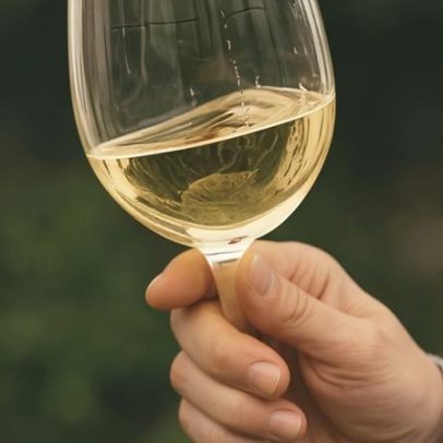 Passeios de séniores para Fátima com lotação esgotada