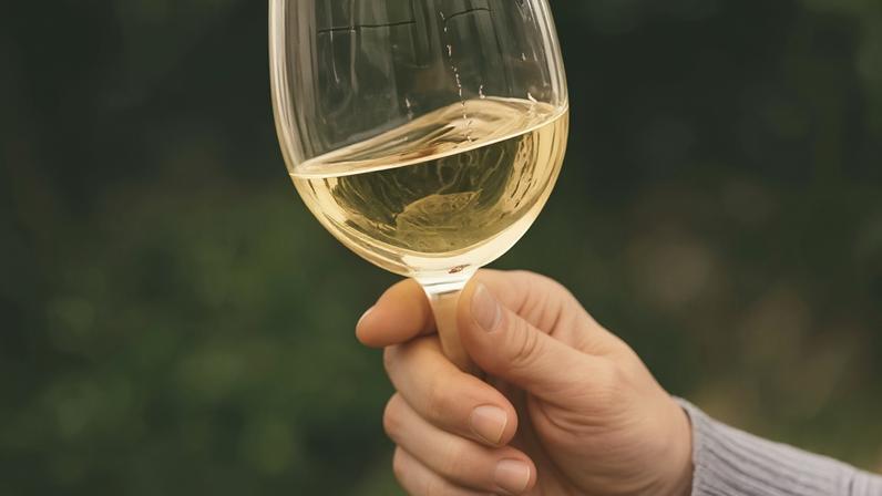 Estabelecimentos com horário de funcionamento alargado na Passagem de Ano