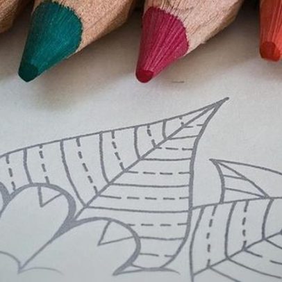 Mercado livreiro português cresce, mas livros de colorir dominam vendas.