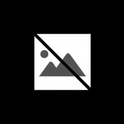 Musk espera autorização para carros autónomos da Tesla na Europa em fevereiro