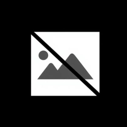 AFVR anuncia árbitros para a 19.ª jornada da Divisão de Honra