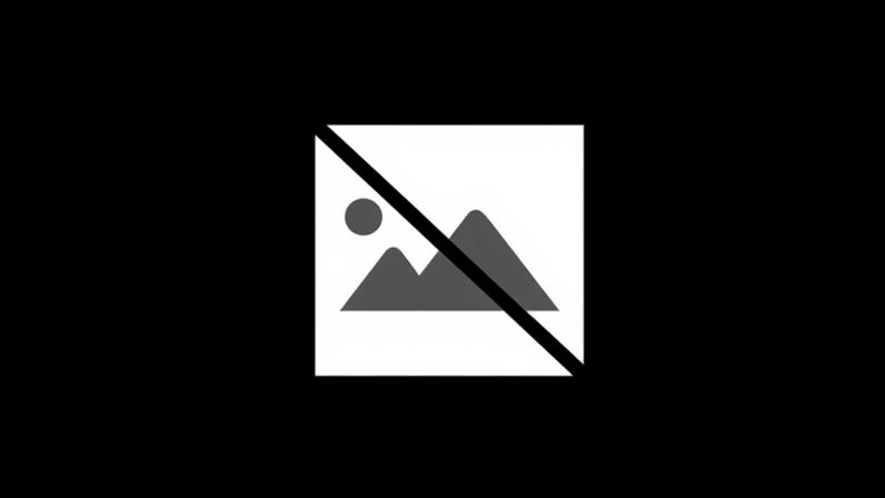 AFVR: As nomeações dos árbitros para a 34ª jornada da Divisão de Honra