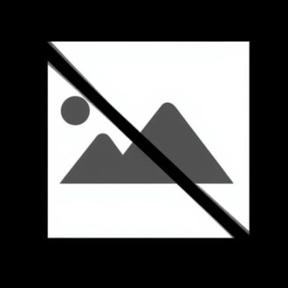 Paços de Ferreira apela à população para identificar colónias de gatos