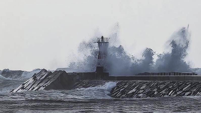 Conheça o calendário do Sporting e do Benfica para a Liga dos Campeões