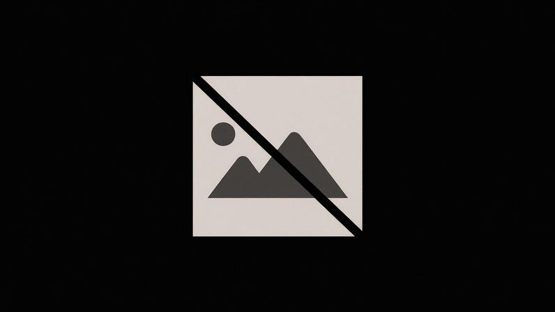 Fuzileiros recrutam militar de quatro patas e procuram apoio para a baptizar