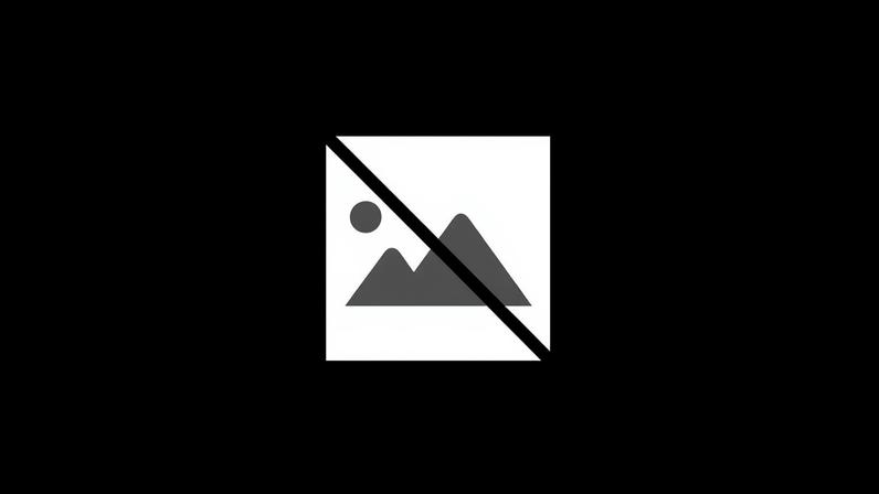 Tempos de Hortifruticultura regressa ao Jardim da Serra na próxima semana