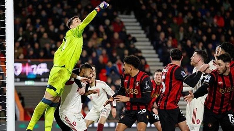 Centro de Recolha Oficial de Guimarães apresenta resultados da atividade 2023