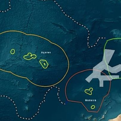 Portugal prepara a Reserva Natural Marinha D. Carlos, entre as maiores da UE