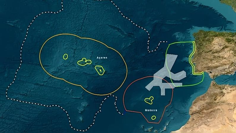 Portugal prepara criação da Reserva Natural Marinha D. Carlos, uma das maiores da União Europeia