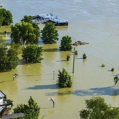 Torneio de Sueca em Cristelos oferece presuntos e galos como prémios