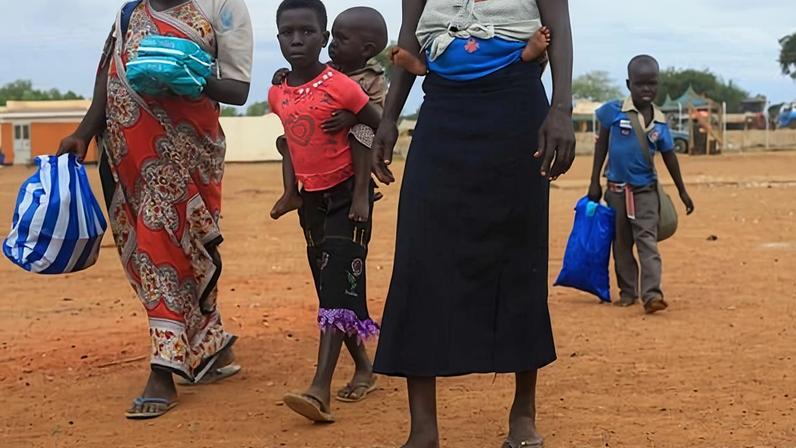 Programa CED de Lousada apela a cuidadores para controlo humanitário de gatos
