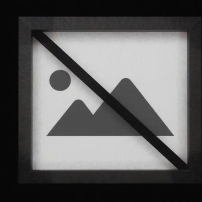 Programa de Criação de Empresas com investimento público de 2,55 milhões de euros