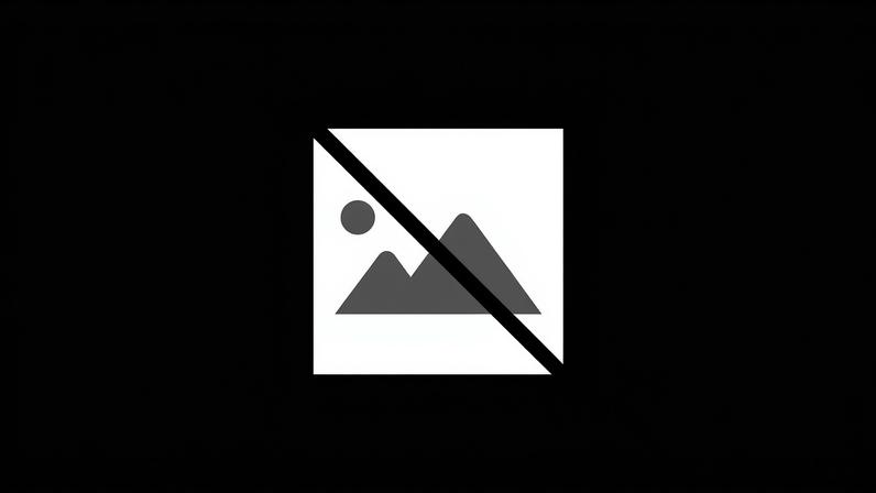 Portugal regista abrandamento da gripe, mas mantém-se excesso de óbitos - INSA