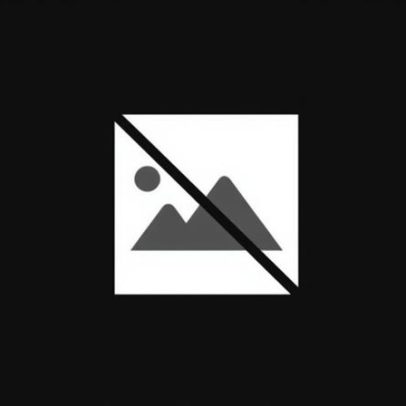 Cavaco Silva anuncia voto em António José Seguro