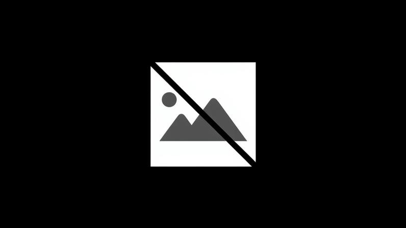 MÊDA: Mercado da Terra celebra 4.ª Edição do Dia do Comércio Local