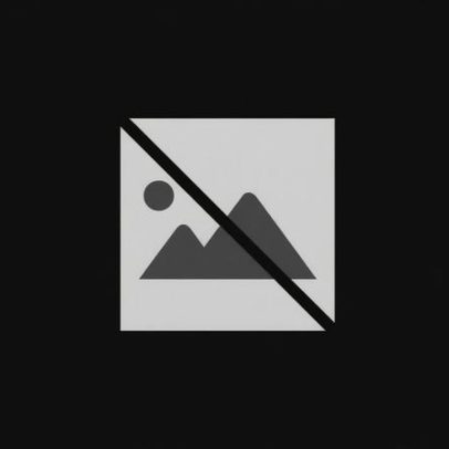 Associação de Ginástica da Madeira distingue atletas