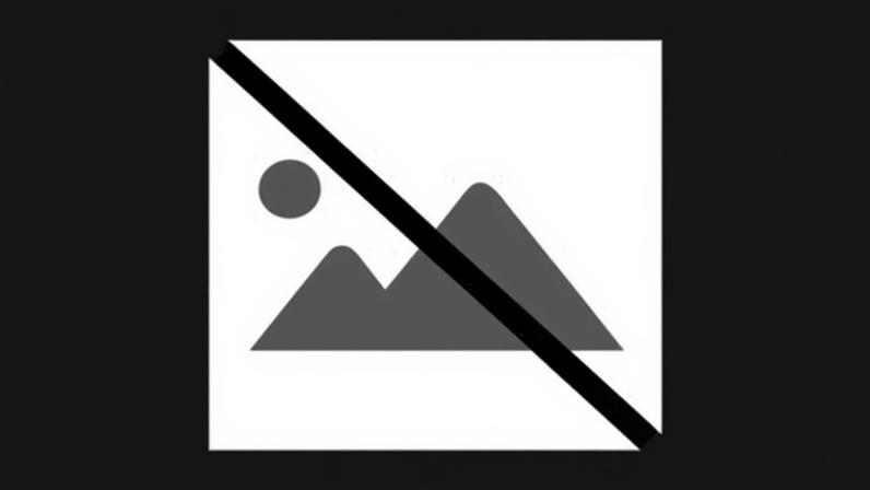 A promoção da literacia mediática é apresentada como uma dimensão indissociável da missão do serviço público, enquanto instrumento de reforço da cidadania, do pluralismo e da resiliência democrática face à desinformação