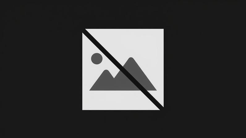 Plataforma de turismo de natureza da região Douro, Tâmega e Sousa promovida na feira internacional de Madrid