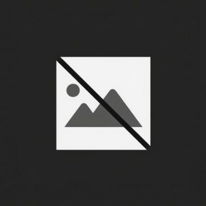 Radar Social de Ovar quer ampliar alcance para sinalizar vulnerabilidades