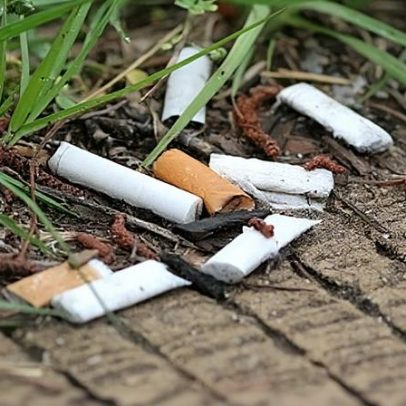 Janeiro recebe a primeira Feira Despacha Bagagem de 2026