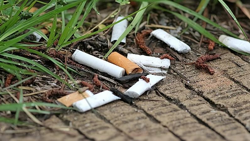 Janeiro tem a primeira Feira “Despacha Bagagem” de 2026