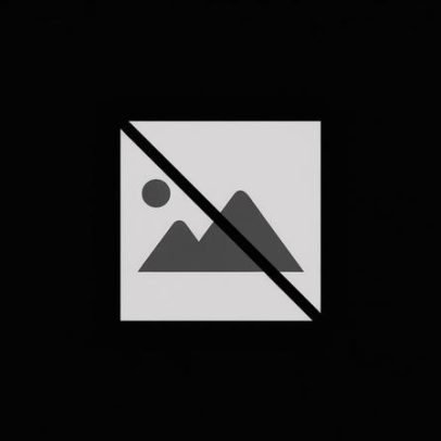 Doutorandos da FCT protestam contra atrasos de bolsas