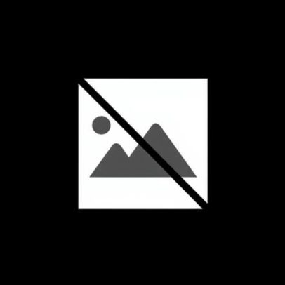 Mulher condenada por não tratar gata após filha a ter colocado no forno em Barcelos