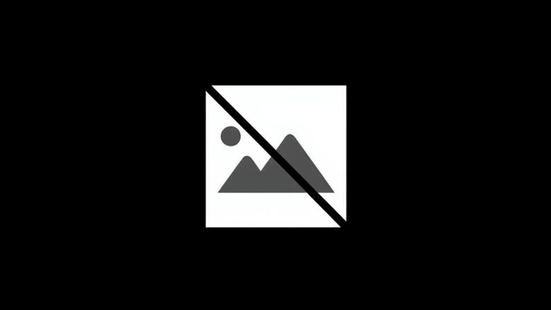 Mulher condenada por não tratar gata que filha meteu no forno em Barcelos