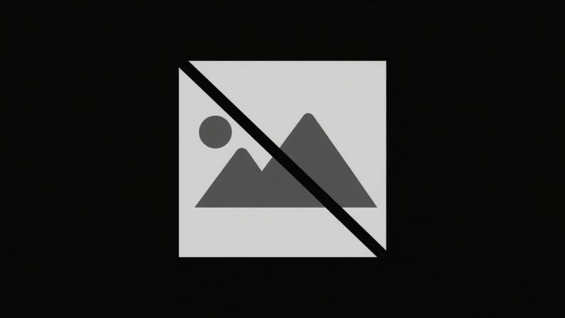 Autarquia apoia lar e reabilitação do Centro de Dia em Salgueiro do Campo