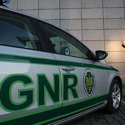 Árvores caem sobre casas e danificam telhados na Chamusca