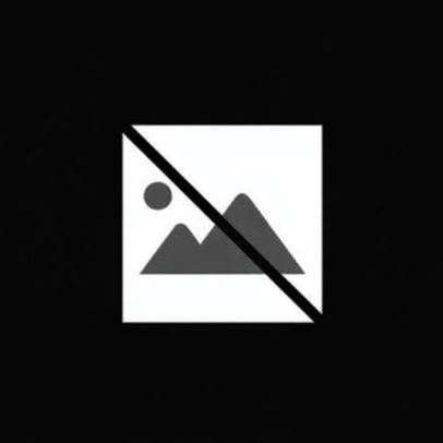 Países Baixos chegam a acordo para formar governo minoritário