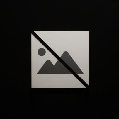 Lei de Bases do Clima em debate hoje na AR com quatro projetos de lei