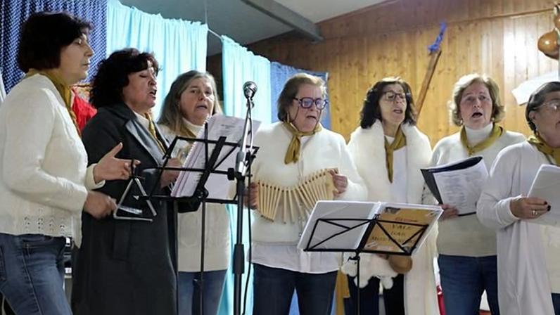 O sistema nervoso central assume particular destaque, concentrando 22,5% do total de medicamentos autorizados